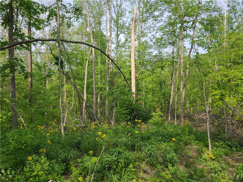 8236 Silver Creek Road Metamora, IN 47030 - Photo 23 of 33 Gallery Image 23