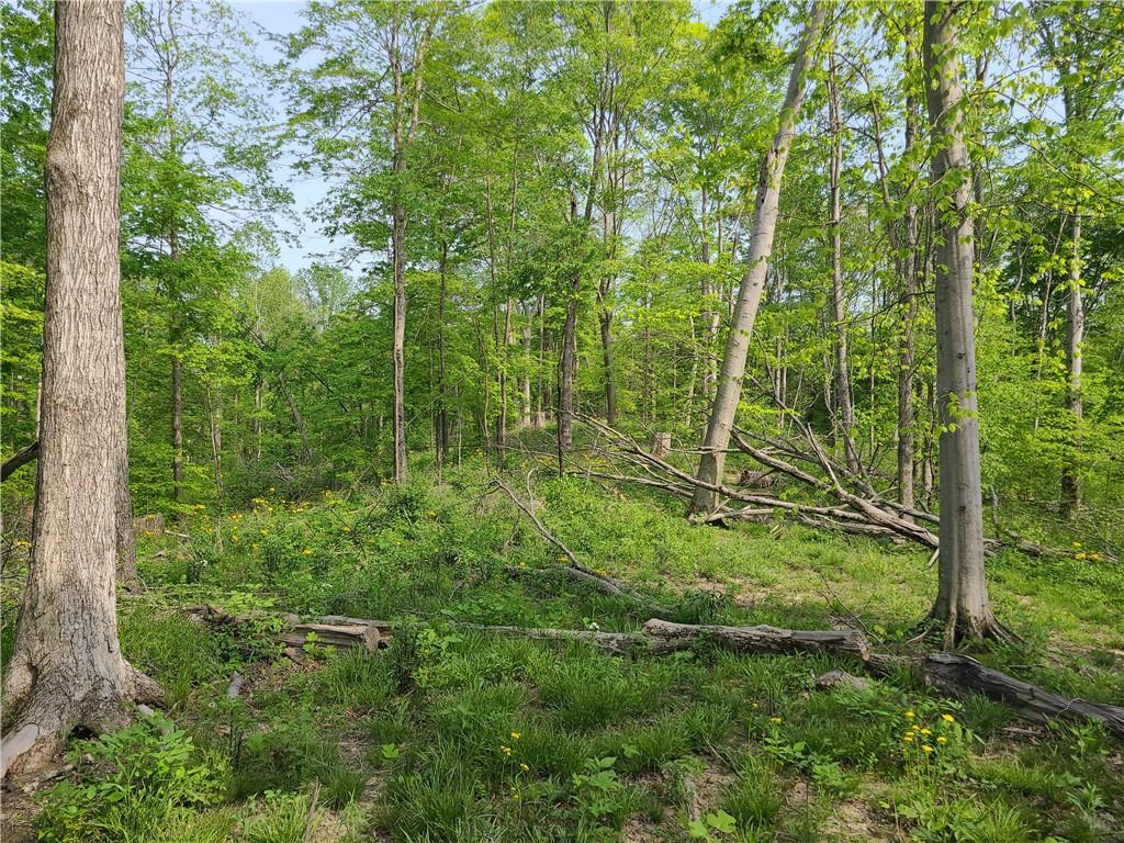 8236 Silver Creek Road Metamora, IN 47030 - Photo 24 of 33 Gallery Image 24