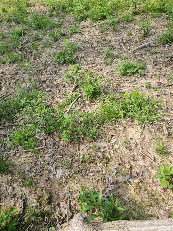 8236 Silver Creek Road Metamora, IN 47030 - Photo 25 of 33 Gallery Image 25