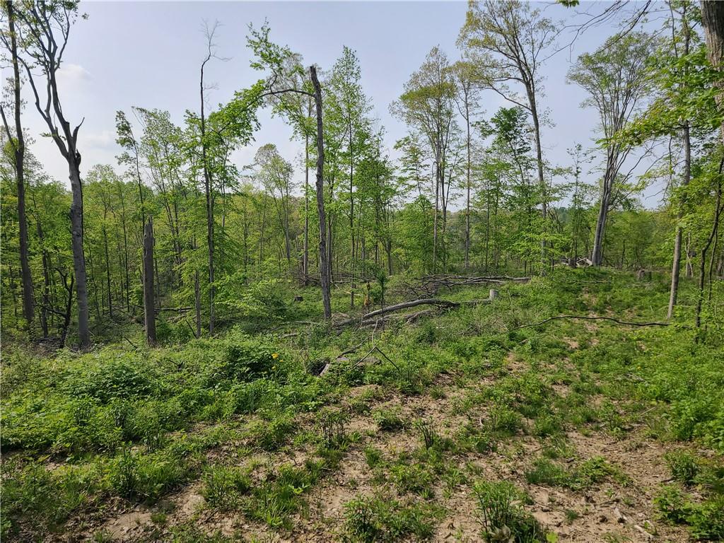8236 Silver Creek Road Metamora, IN 47030 - Photo 26 of 33 Gallery Image 26