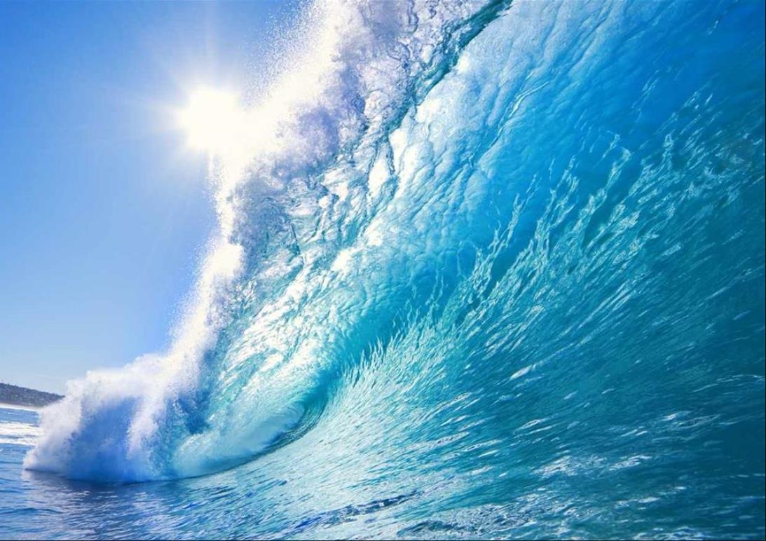 101 Flagler Boulevard, Unit A St. Augustine, FL 32080 - Photo 17 of 19 a view of a yard