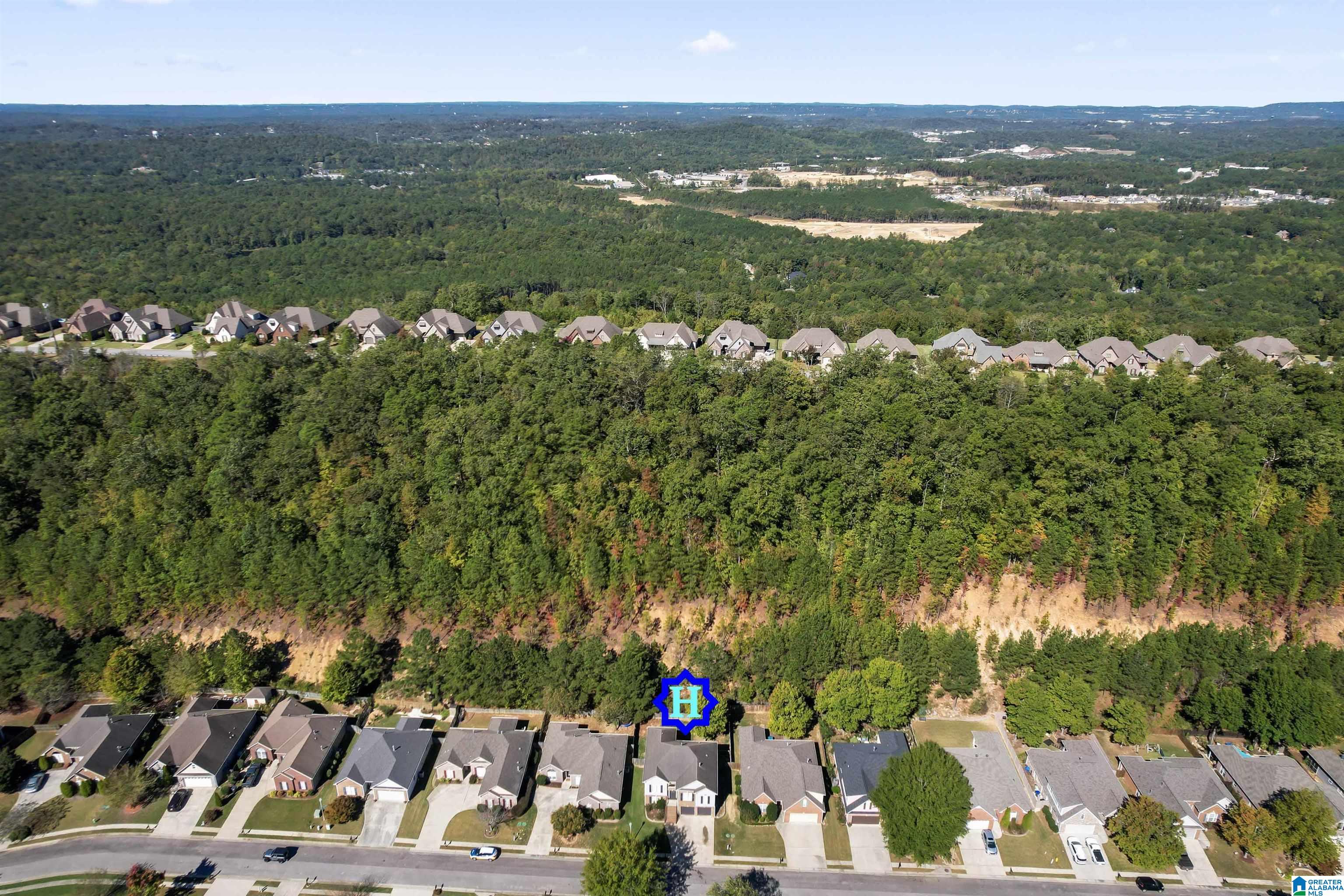 172 Cove Lane Pelham, AL 35124 - Photo 8 of 48
