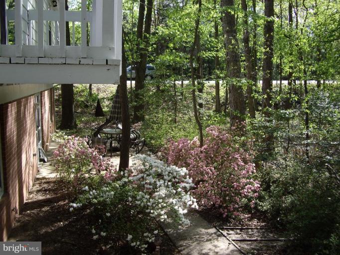 2512 Goldcup Lane Reston, VA 20191 - Photo 3 of 12 Back yard