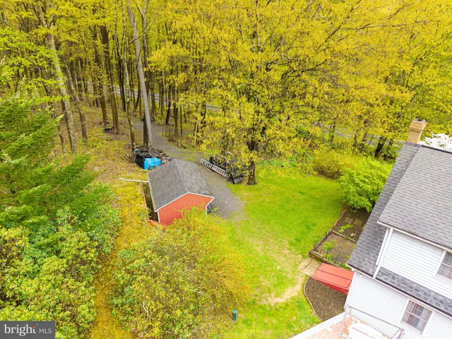 a view of a backyard with large trees and a barn
