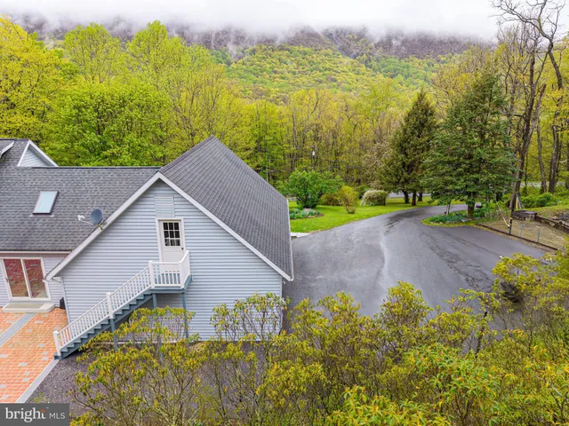 a view of a backyard with plants and lake view