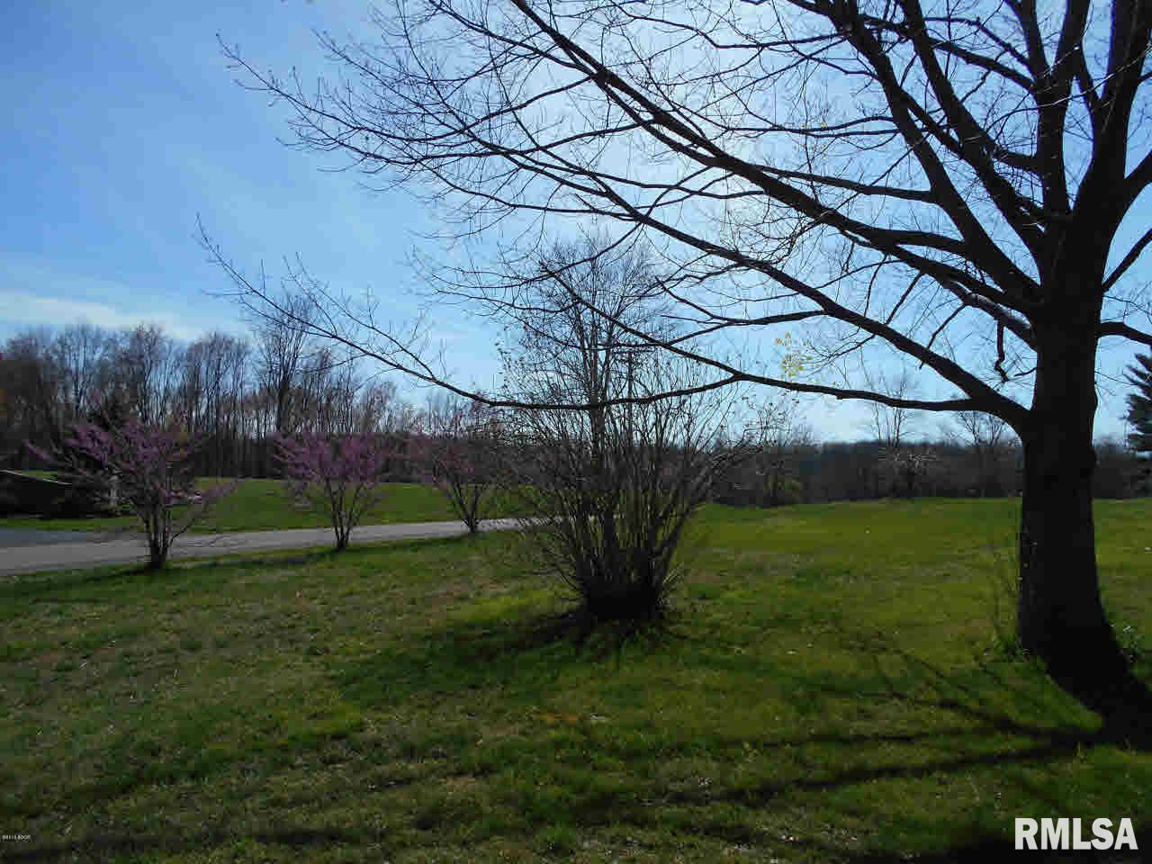 305 Hemlock Lane Flora, IL 62839 - Photo 12 of 50 Gallery Image 12