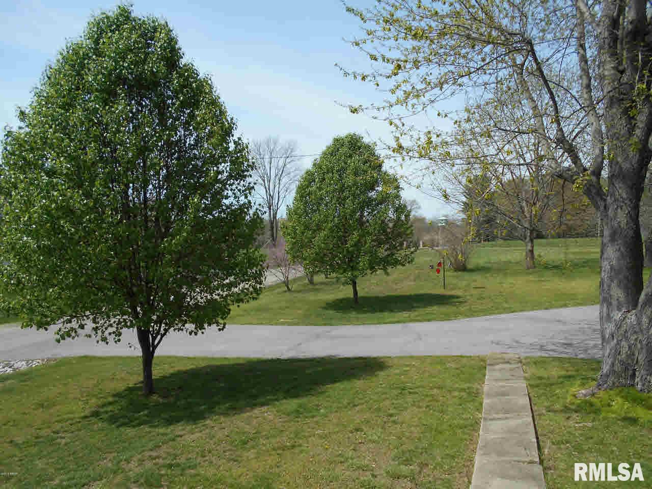 305 Hemlock Lane Flora, IL 62839 - Photo 16 of 50 Gallery Image 16