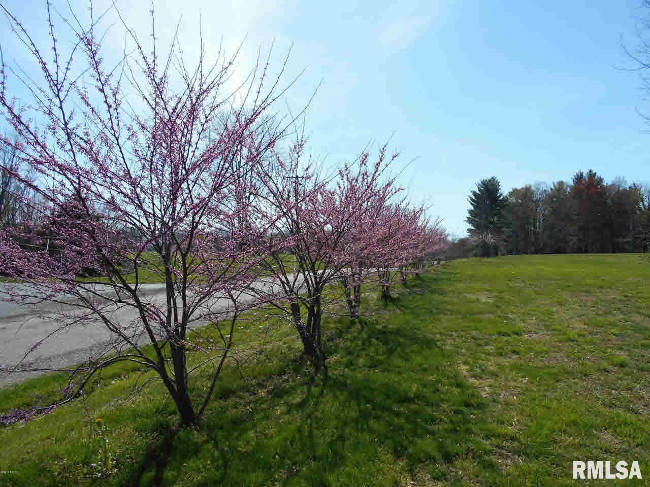 305 Hemlock Lane Flora, IL 62839 - Photo 10 of 50 Gallery Image 10