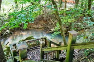 a view of a swimming pool with lawn chairs under an umbrella