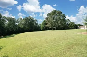 a view of yard with swimming pool and green space