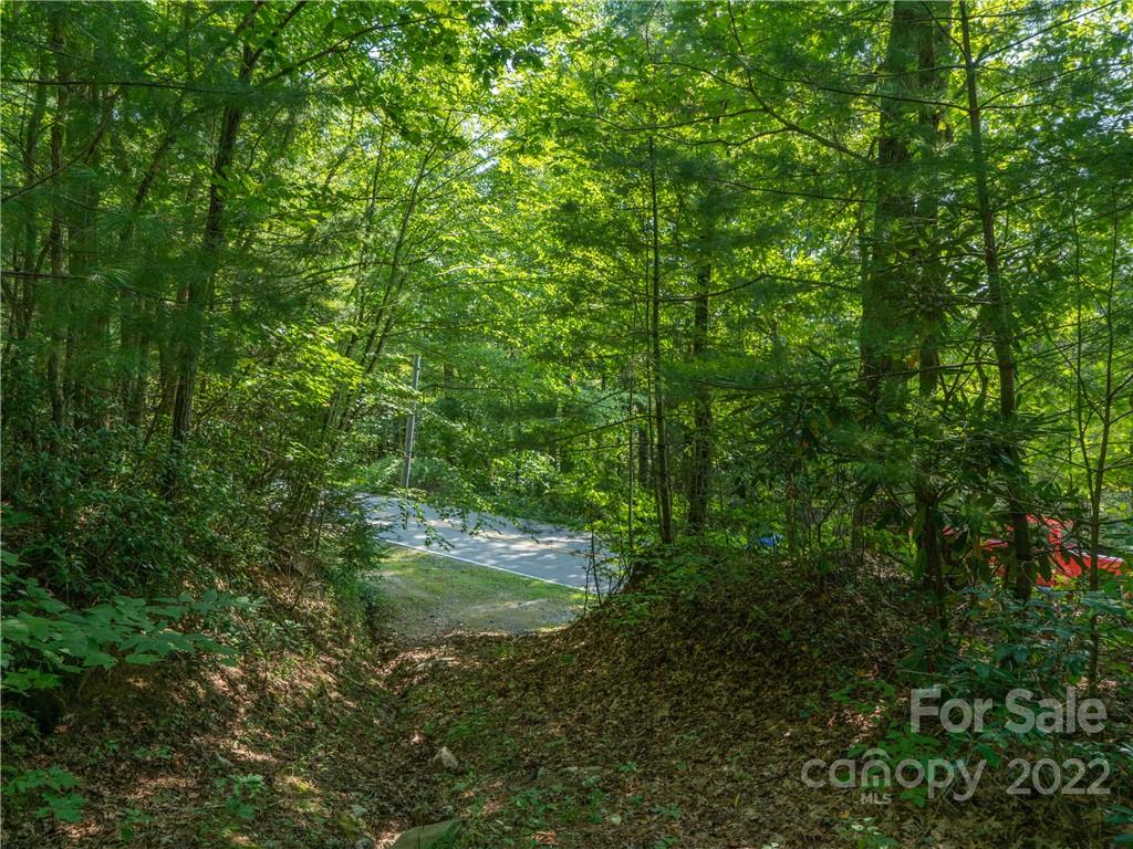 99 Gouges Creek Road Spruce Pine, NC 28777 - Photo 11 of 23 Gallery Image 11