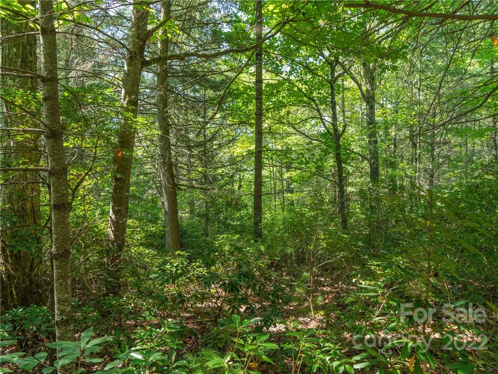 99 Gouges Creek Road Spruce Pine, NC 28777 - Photo 15 of 23 Gallery Image 15