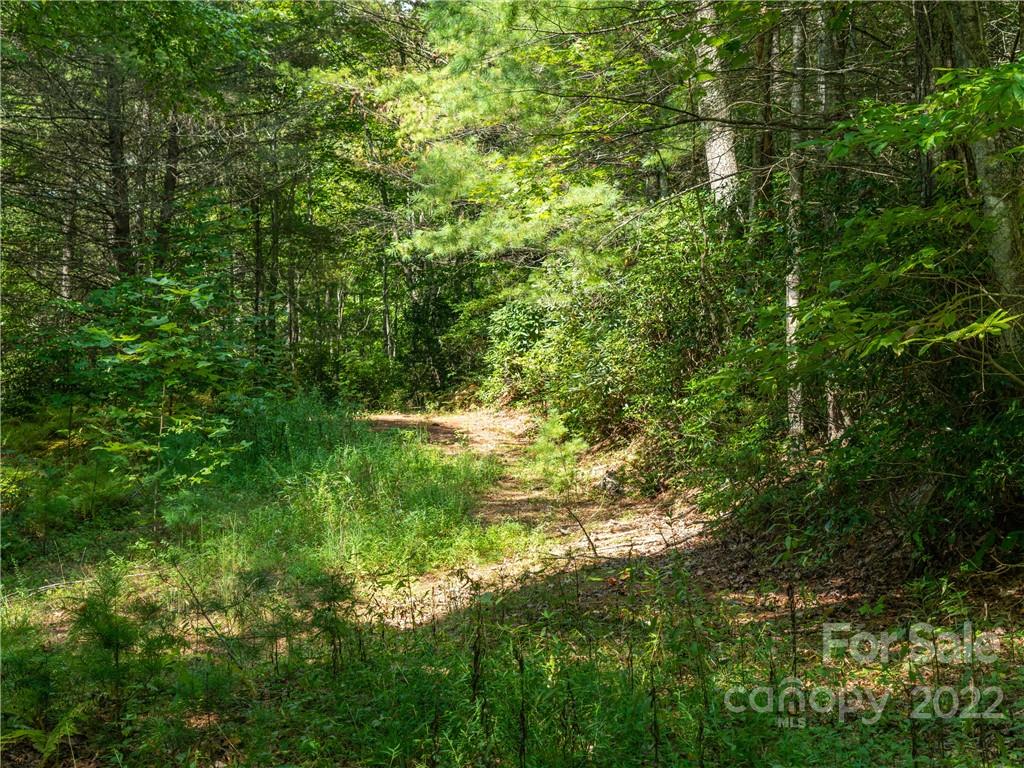 99 Gouges Creek Road Spruce Pine, NC 28777 - Photo 19 of 23 Gallery Image 19