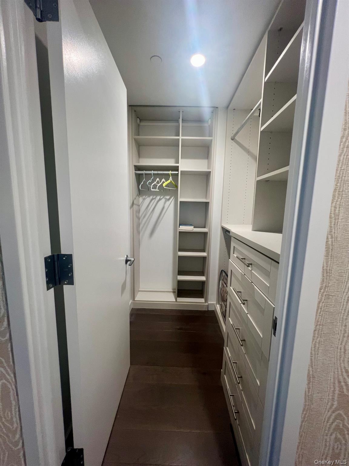 131-03 40 Road, Unit PH2G Queens, NY 11354 - Photo 12 of 29 a view of walk in closet with empty racks