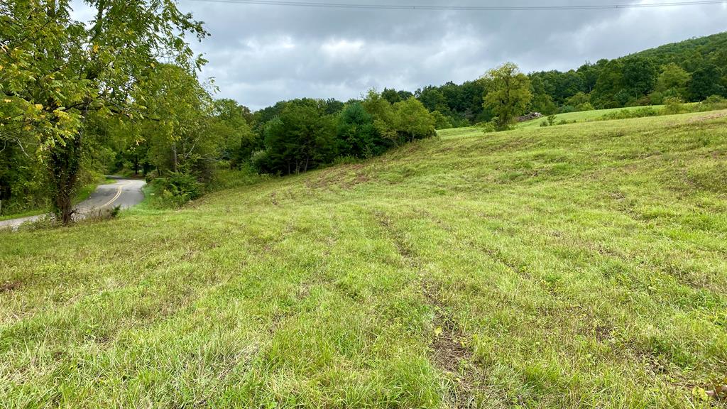 Tbd Castleton Road, Unit 62110 Max Meadows, VA 24360 - Photo 32 of 37 Gallery Image 32
