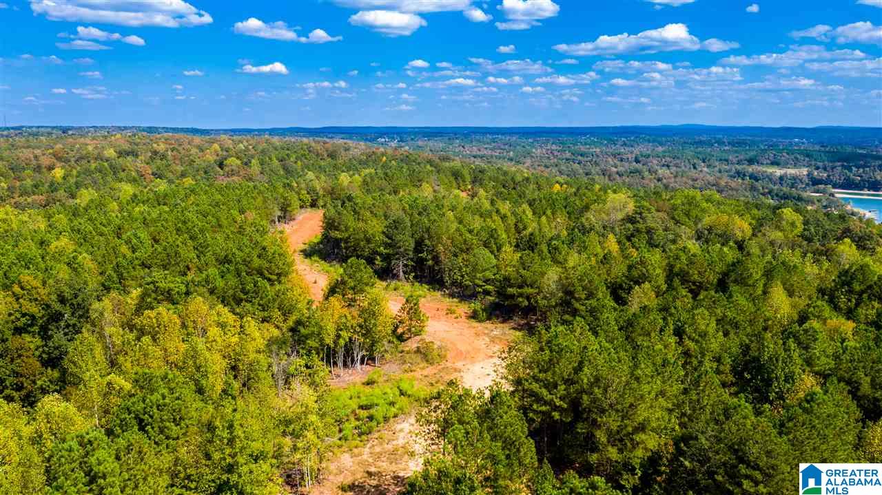 0 County Road 297 Cullman, AL 35057 - Photo 22 of 48
