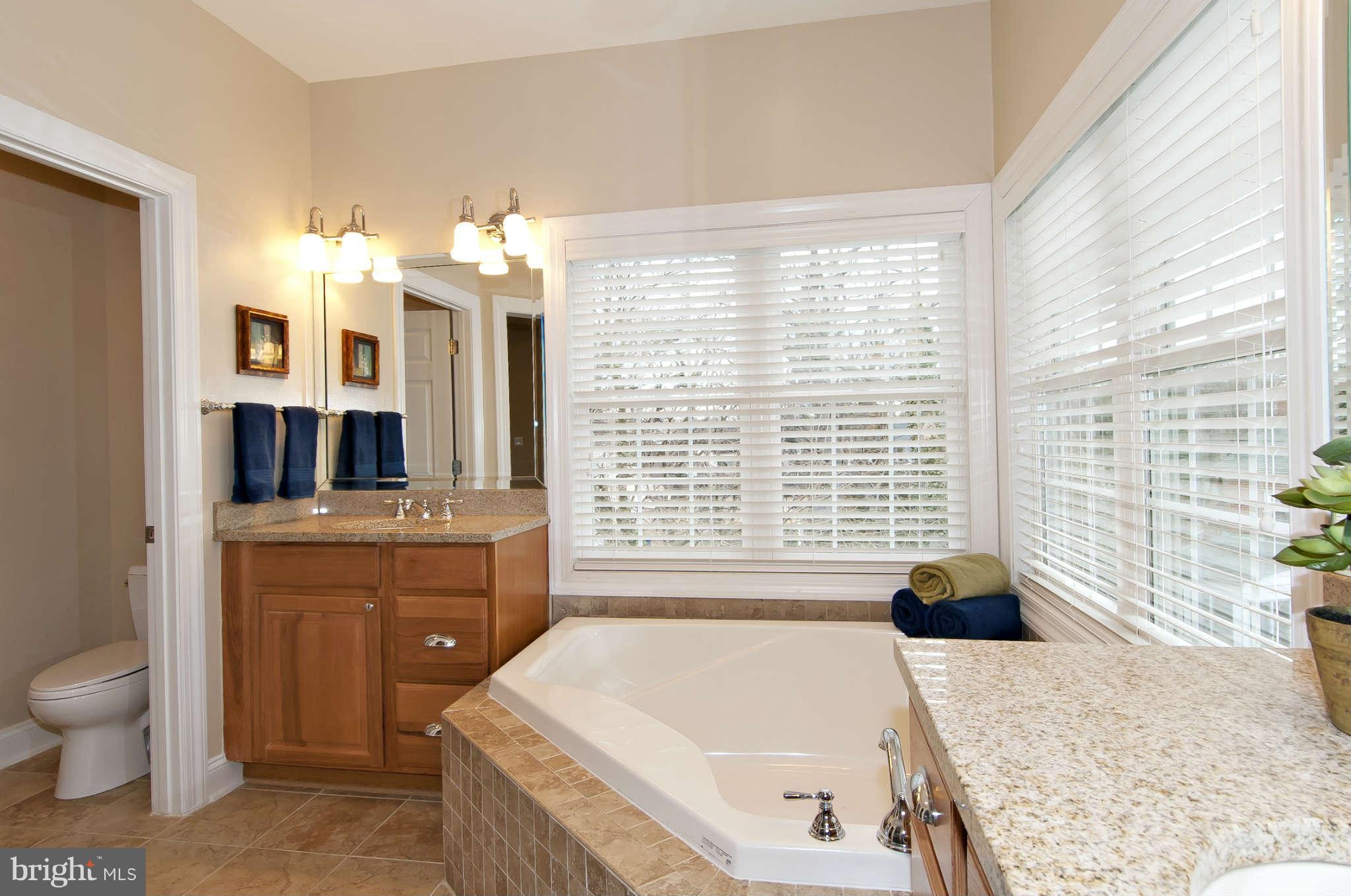 8407 Old Georgetown Road Bethesda, MD 20814 - Photo 16 of 30 a spacious bathroom with a granite countertop sink and a bathtub