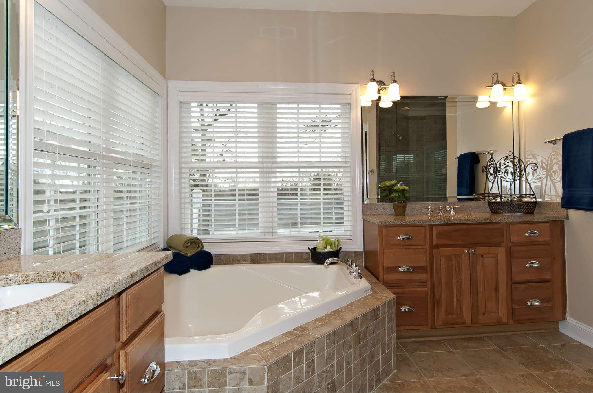 8407 Old Georgetown Road Bethesda, MD 20814 - Photo 18 of 30 a spacious bathroom with a granite countertop sink and a bathtub