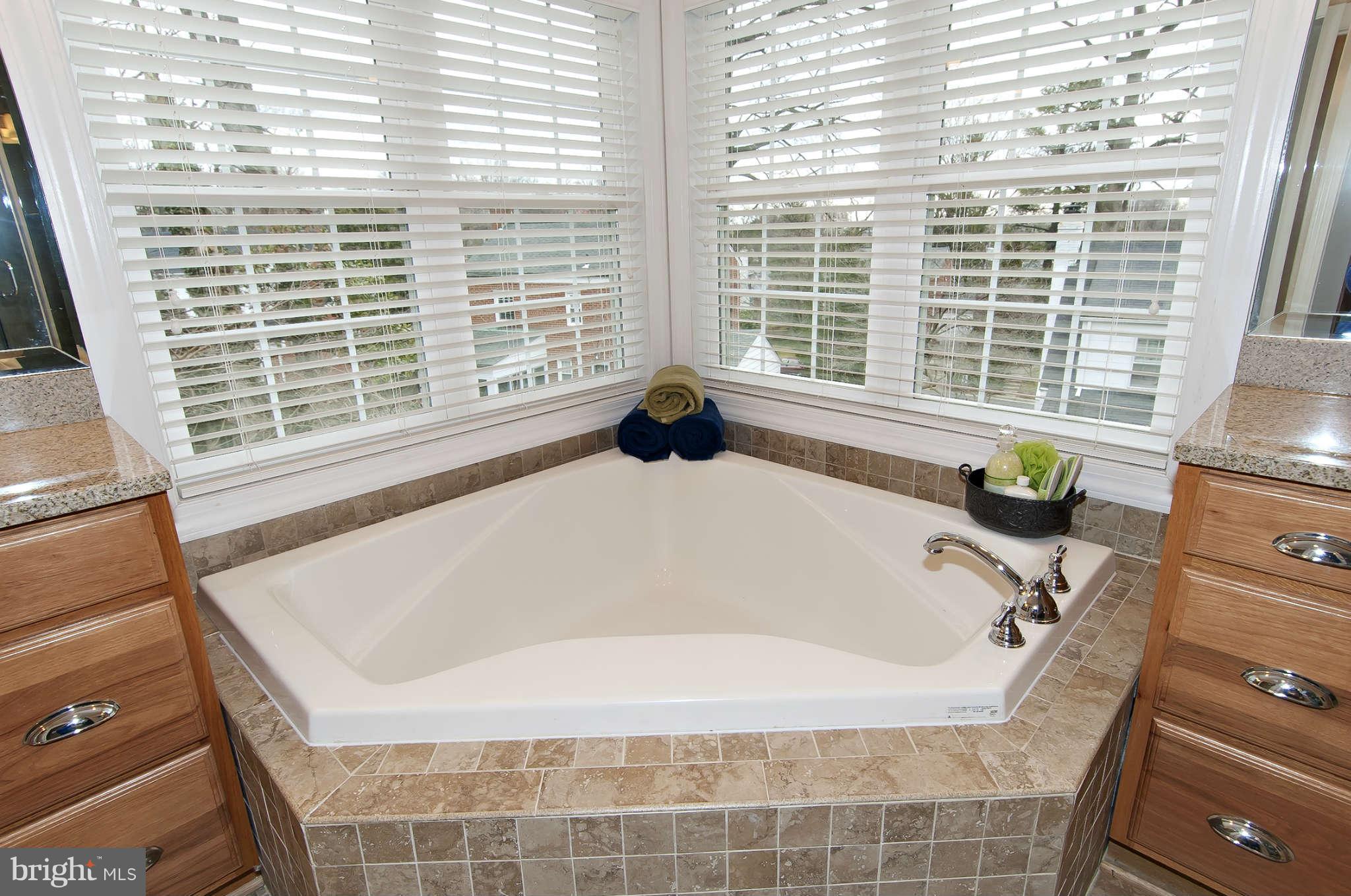 8407 Old Georgetown Road Bethesda, MD 20814 - Photo 19 of 30 a bathroom with bathtub and window