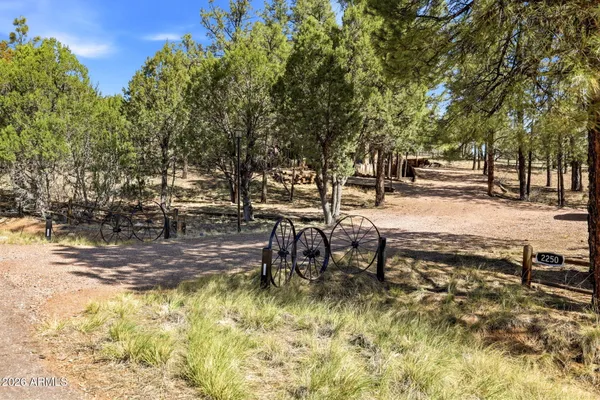 a view of yard covered with snow
