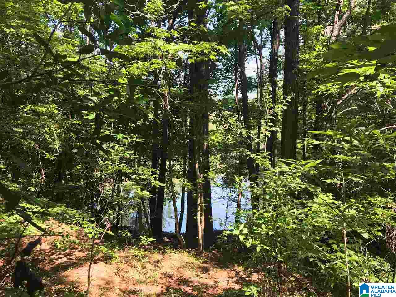 9948 Bob Dunn Road Warrior, AL 35180 - Photo 28 of 38