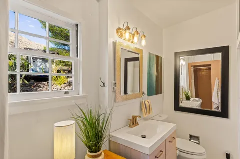 a bathroom with a sink a window and a potted plant