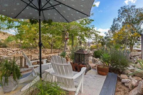 a view of a yard with plants and trees