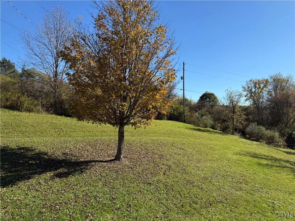 4793 Erron Hill Road Locke, NY 13092 - Photo 6 of 25