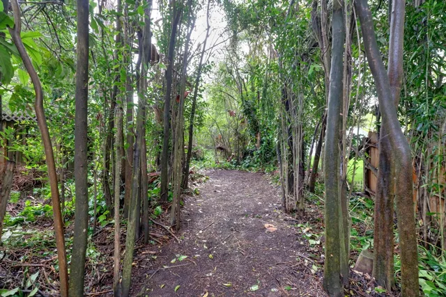 a view of outdoor space and green space