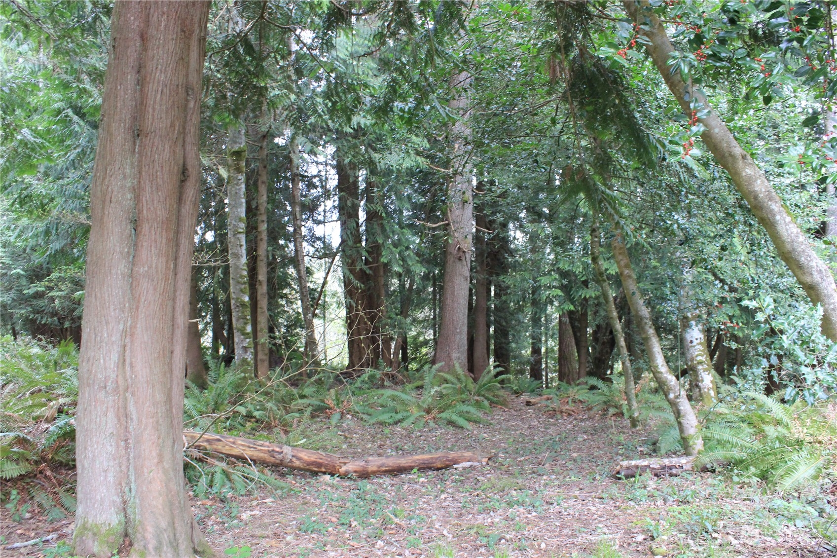2353 Seminary Hill Road Centralia, WA 98531 - Photo 5 of 5 Gallery Image 5