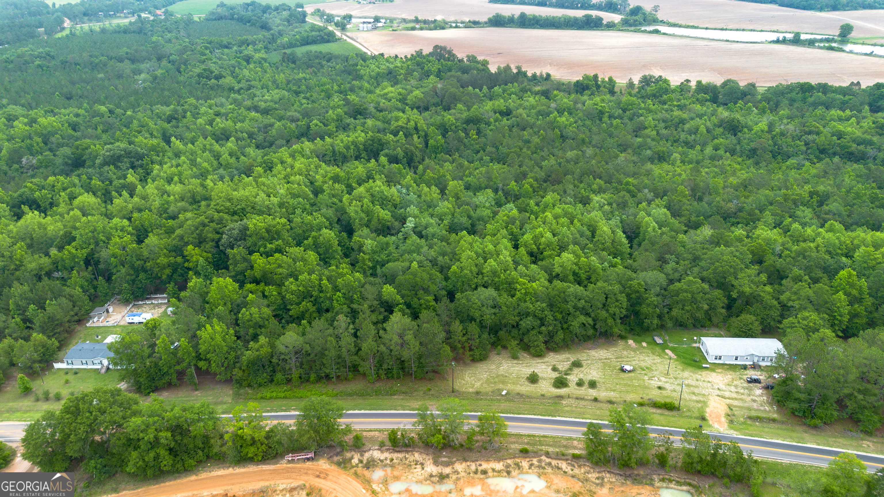 0 Carters Bridge Road Claxton, GA 30417 - Photo 2 of 2