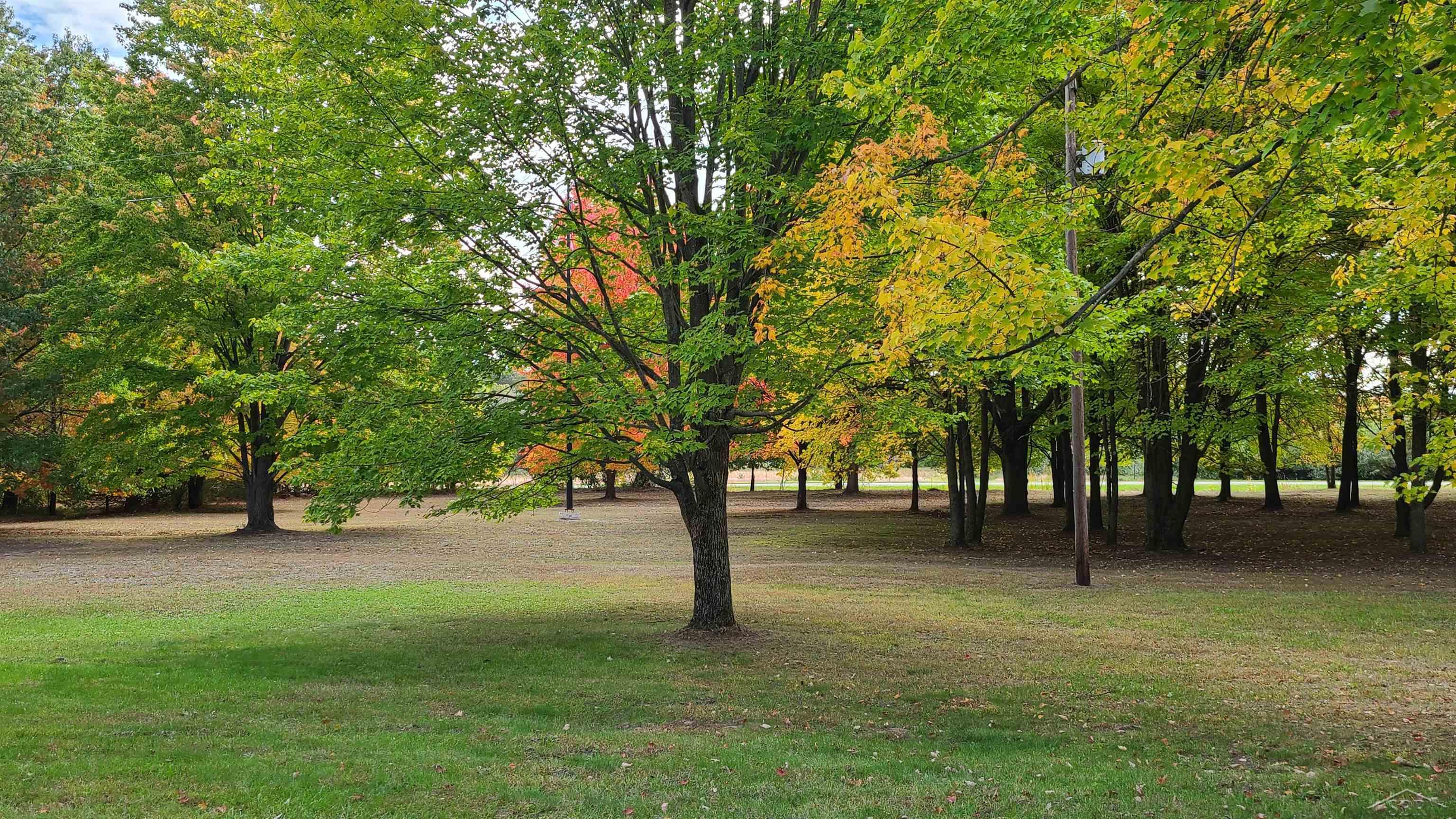 18234 Frandsche Road Oakley, MI 48649 - Photo 41 of 43 50092446-40.JPG