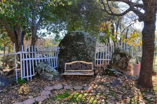 a backyard of a house with lots of green space