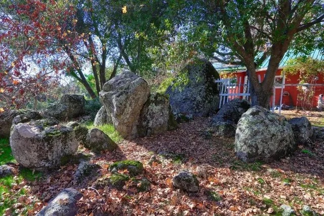 a view of a park with large trees
