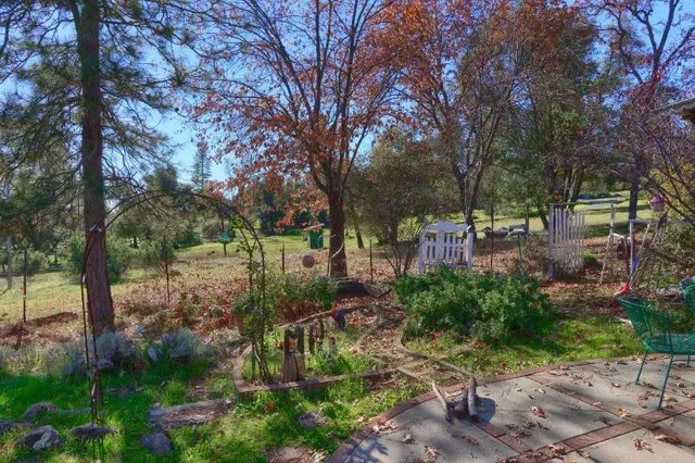 a view of a back yard