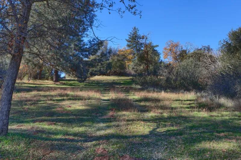 5201 Tiptop Road Mariposa, CA 95338 - Photo 37 of 46 Gallery Image 37
