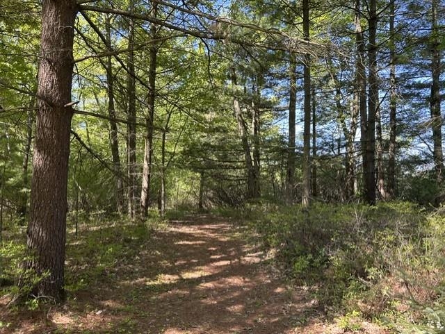 22 Baldwin Resort Road East Tawas, MI 48730 - Photo 14 of 72