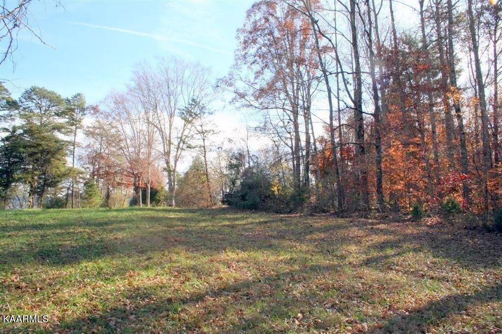 Denton Hayes Road Maryville, TN 37803 - Photo 3 of 9 open space