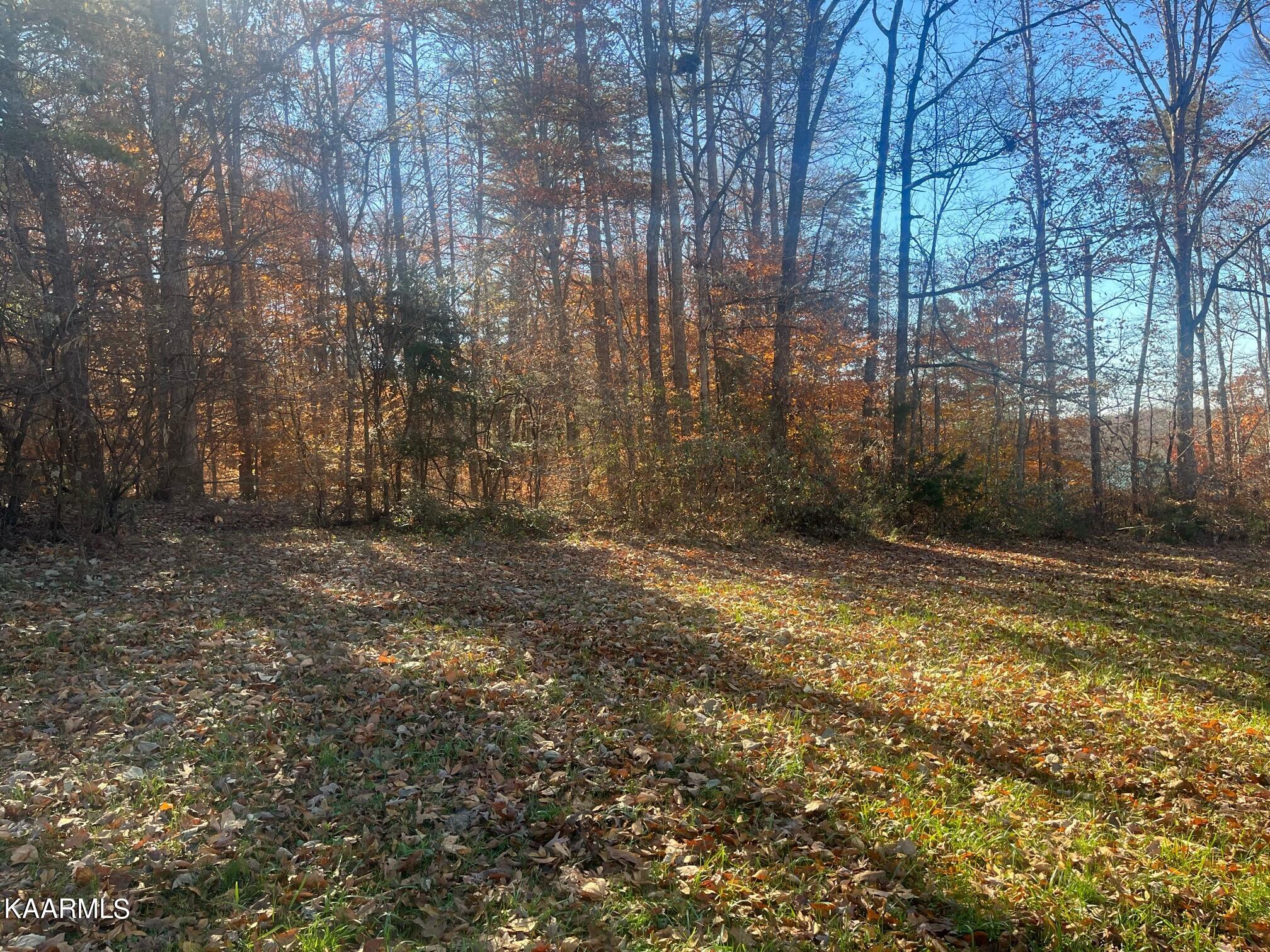 Denton Hayes Road Maryville, TN 37803 - Photo 4 of 9 backs to trees