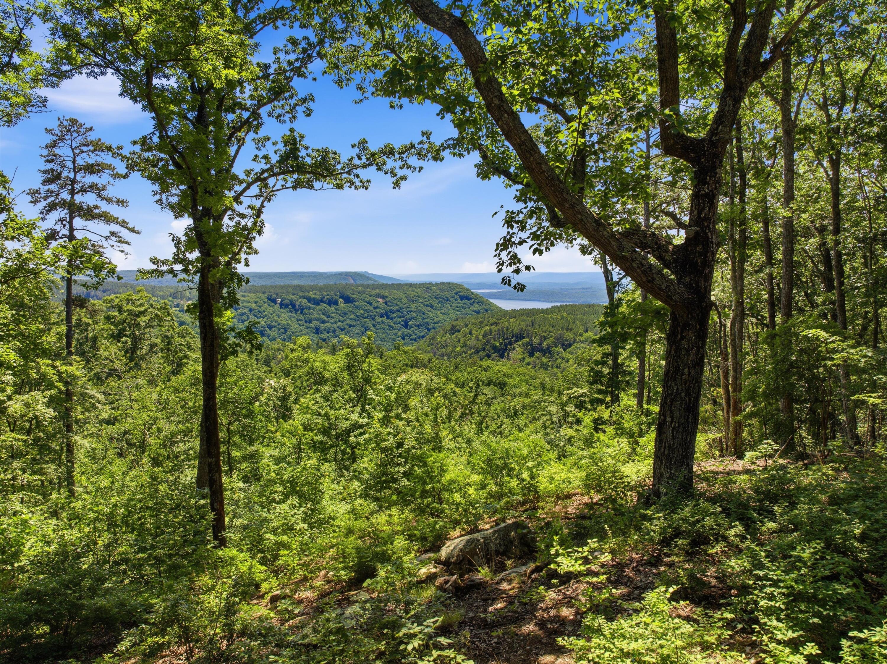 0 Split Rail Way, Unit 1180 Guild, TN 37340 - Photo 2 of 16 Lot 1180