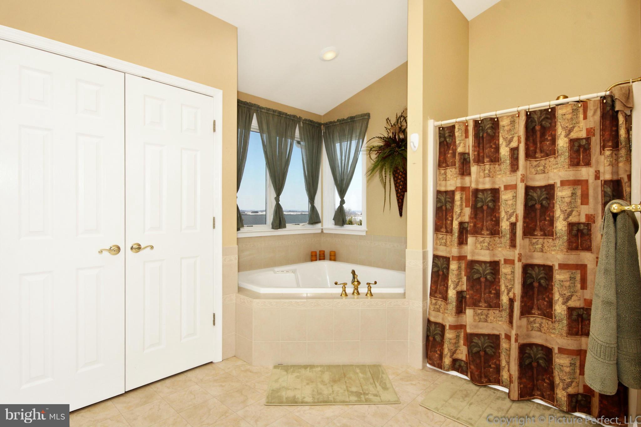 3151 Buffalo Road New Windsor, MD 21776 - Photo 20 of 30 Bath (Master)