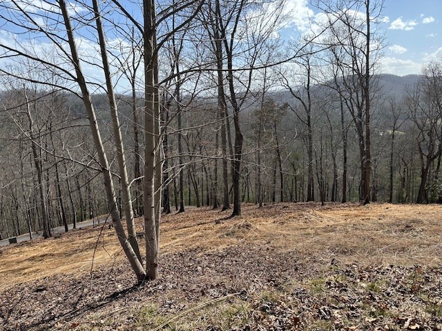 8 Thunder Road Hayesville, NC 28904 - Photo 7 of 9 Gallery Image 7
