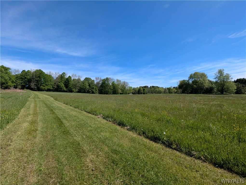 540 Shumway Road Sweden, NY 14420 - Photo 42 of 50