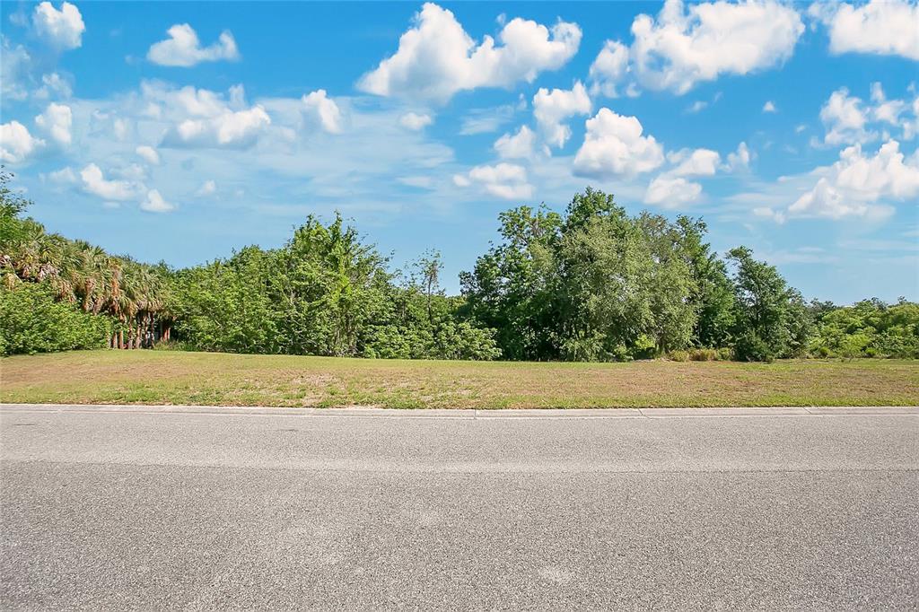 1661 Roberts Landing Road Windermere, FL 34786 - Photo 4 of 11 a view of a yard and entertaining space