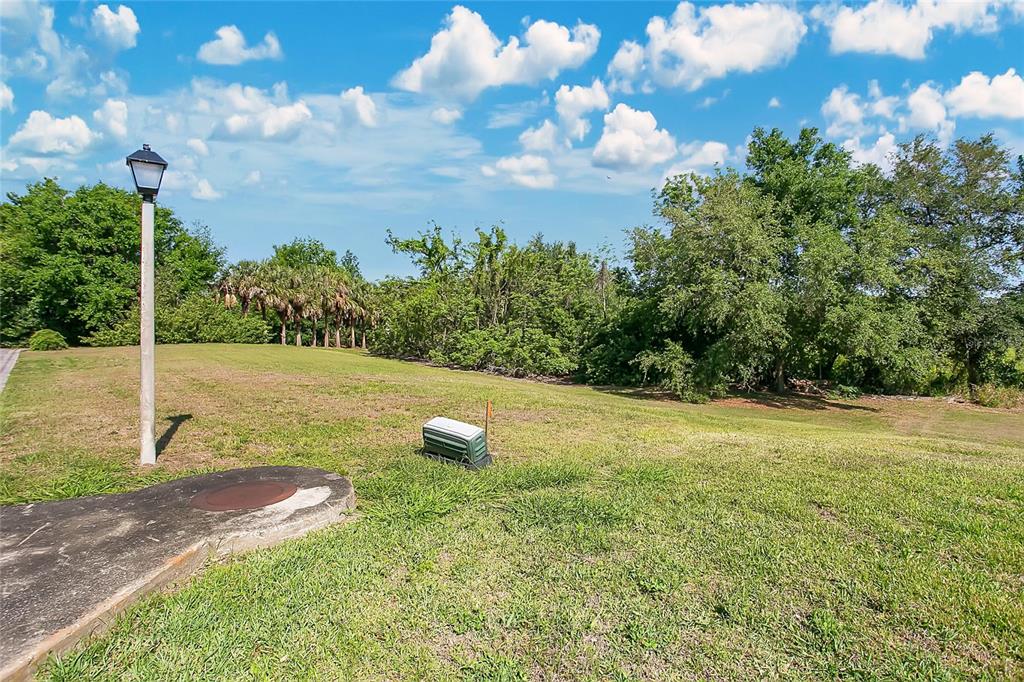 1661 Roberts Landing Road Windermere, FL 34786 - Photo 5 of 11 a view of a field with an trees