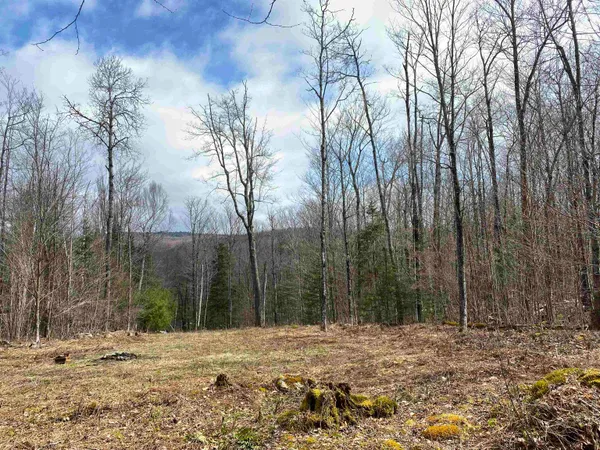 $99,000 | 0 Miller Pond Road, Grantham, NH 03753