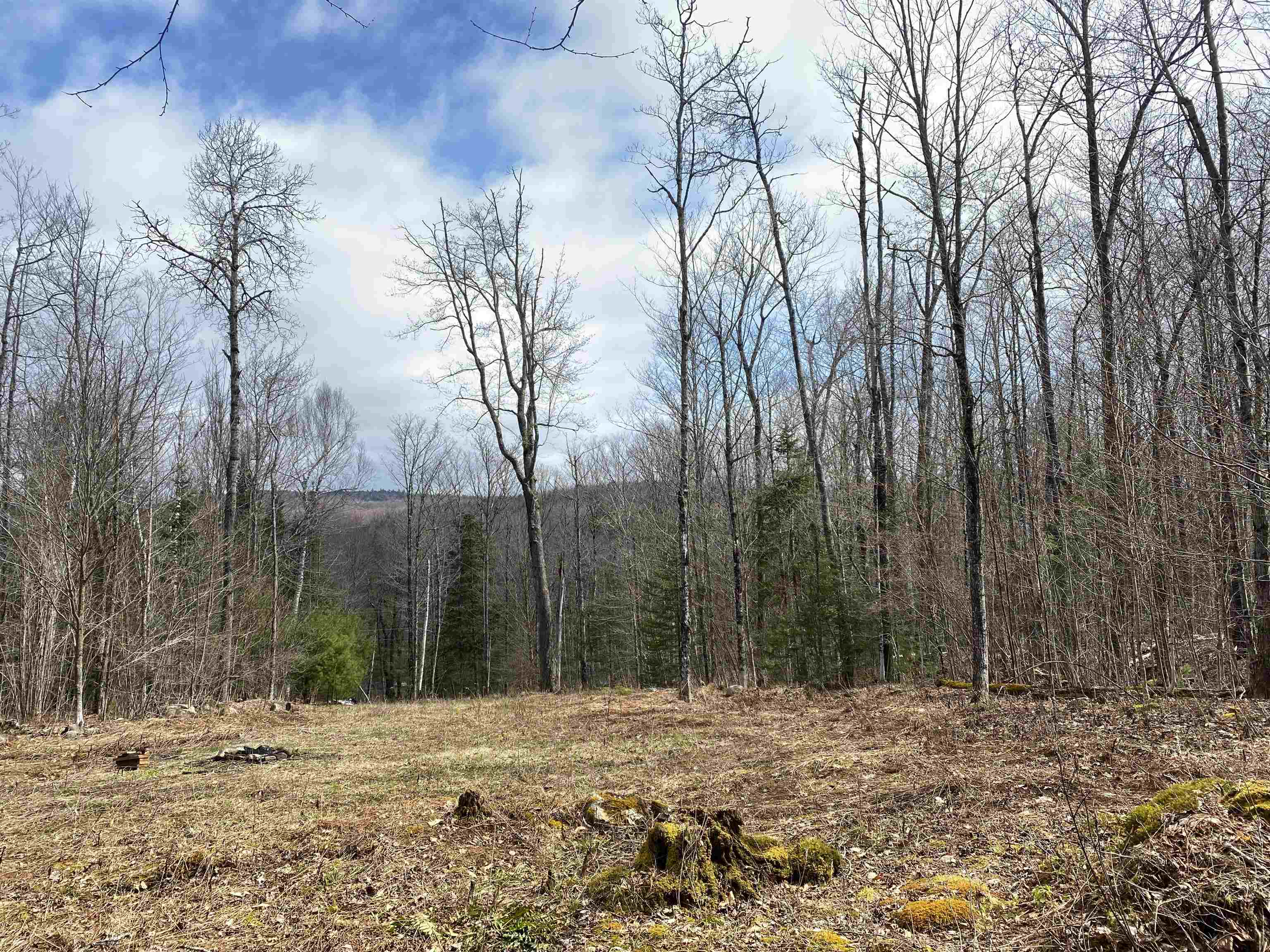 0 Miller Pond Road Grantham, NH 03753 - Photo 1 of 10