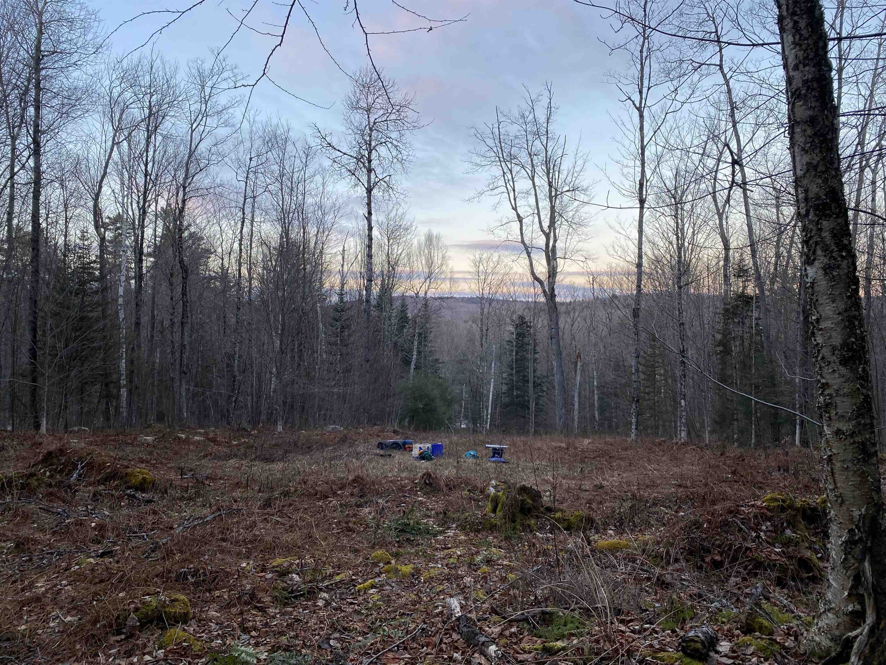 0 Miller Pond Road Grantham, NH 03753 - Photo 3 of 10