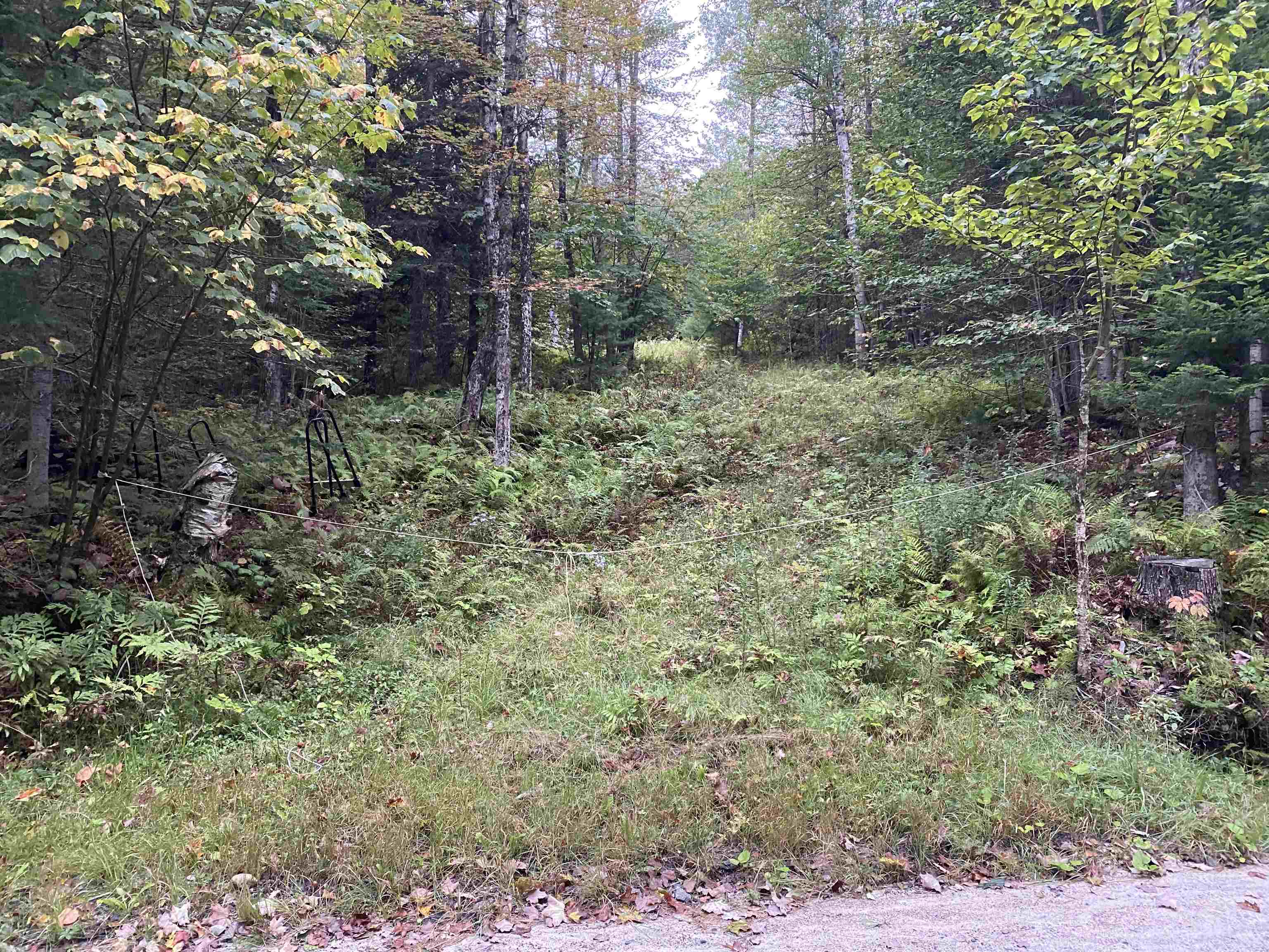 0 Miller Pond Road Grantham, NH 03753 - Photo 5 of 10