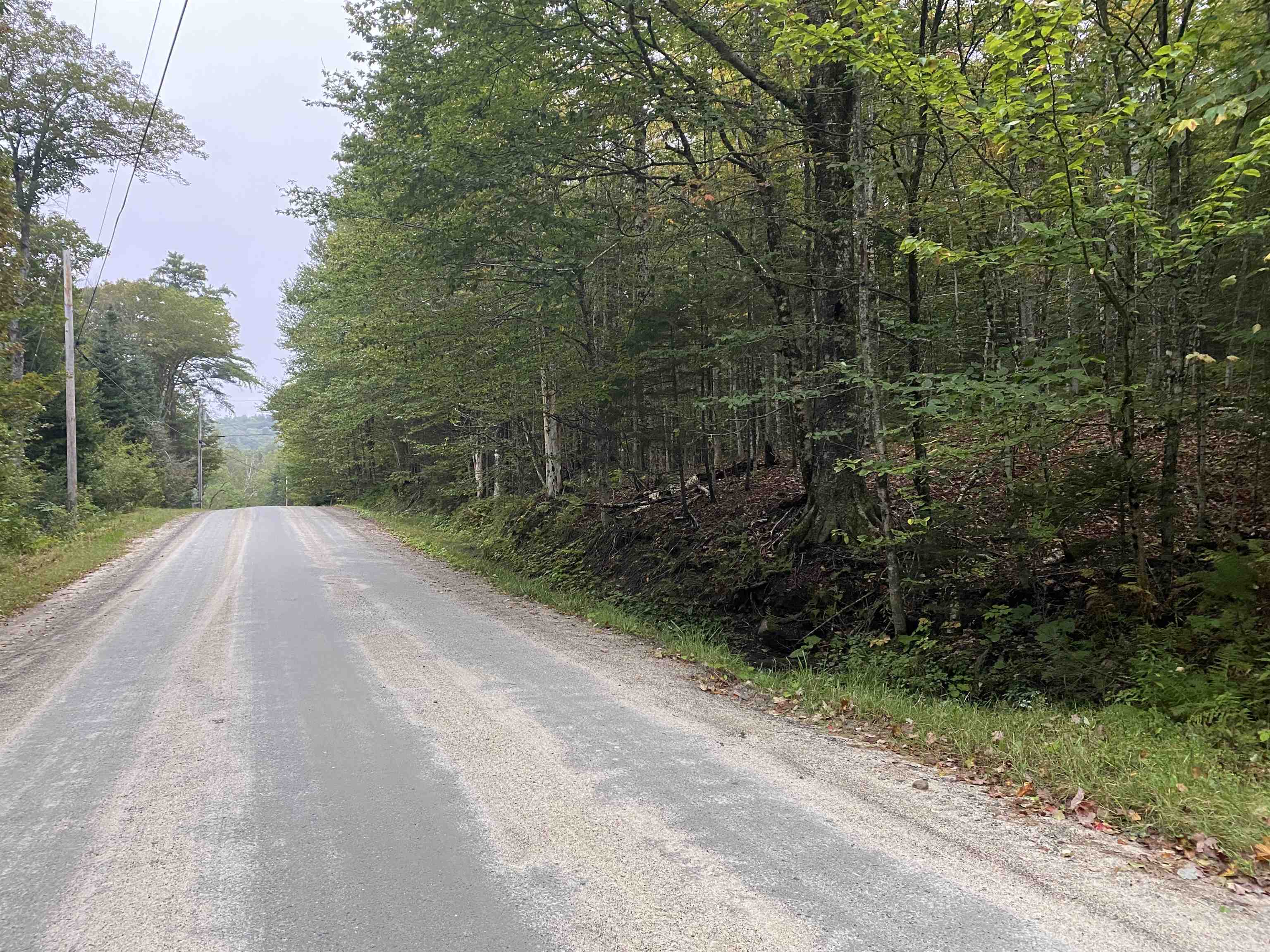 0 Miller Pond Road Grantham, NH 03753 - Photo 6 of 10